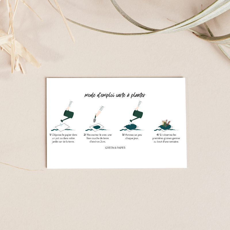 Carte à planter - Bouquet