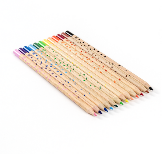 Boîte de 12 crayons de couleur aquarellables