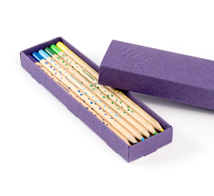 Boîte de 12 crayons de couleur aquarellables