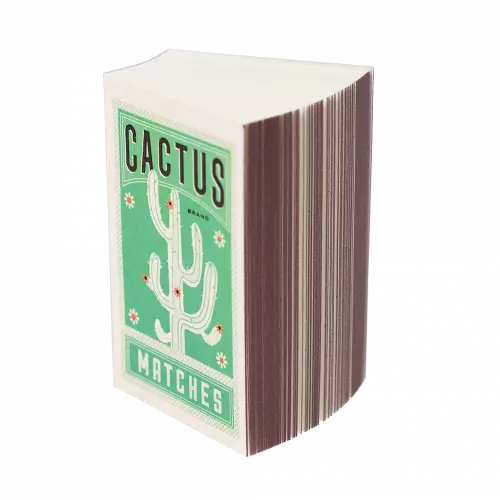 Mini bloc - cactus