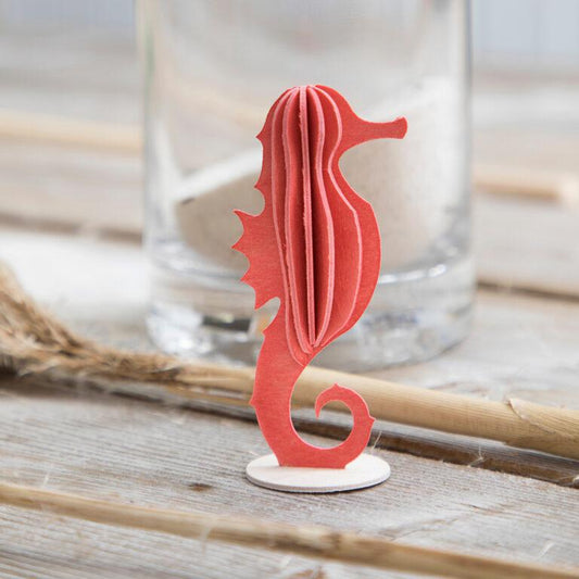 Hippocampe corail