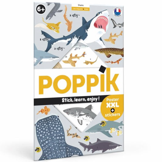 Requins